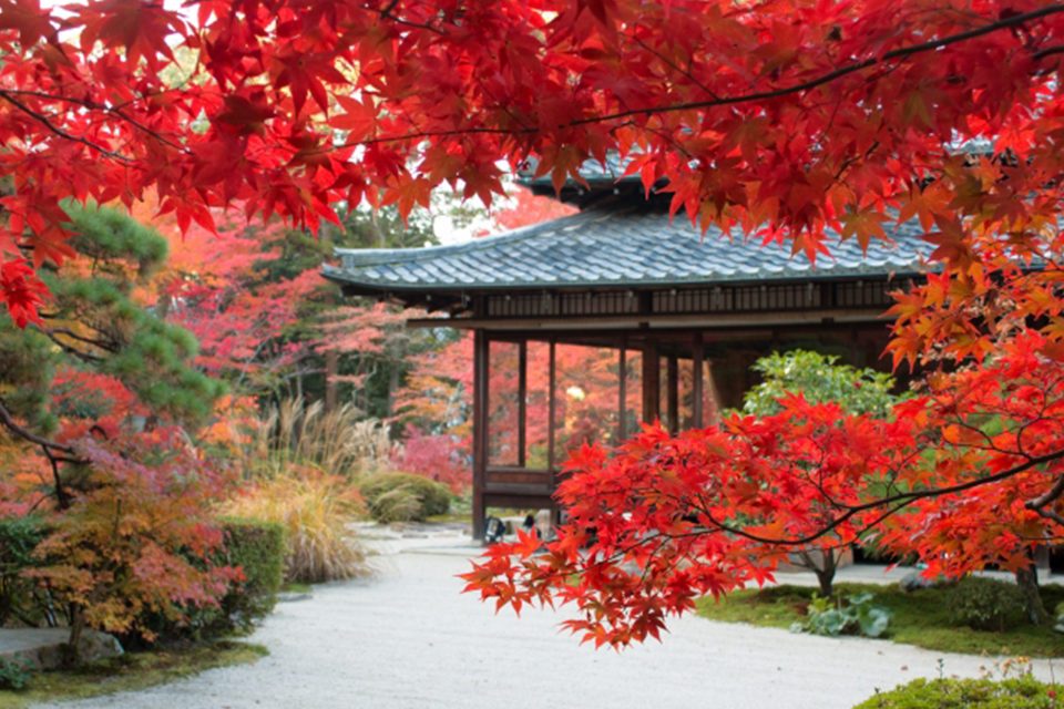 京都南禅寺天授庵