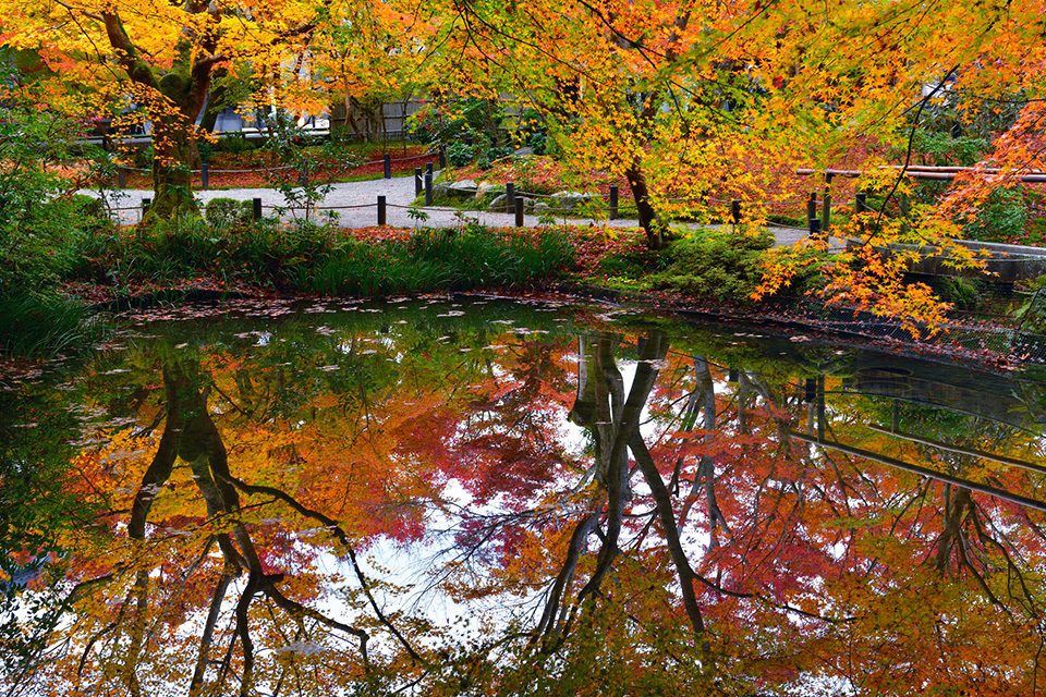 圓光寺の庭園