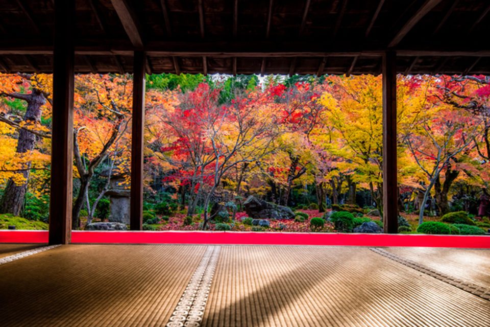 圓光寺の紅葉