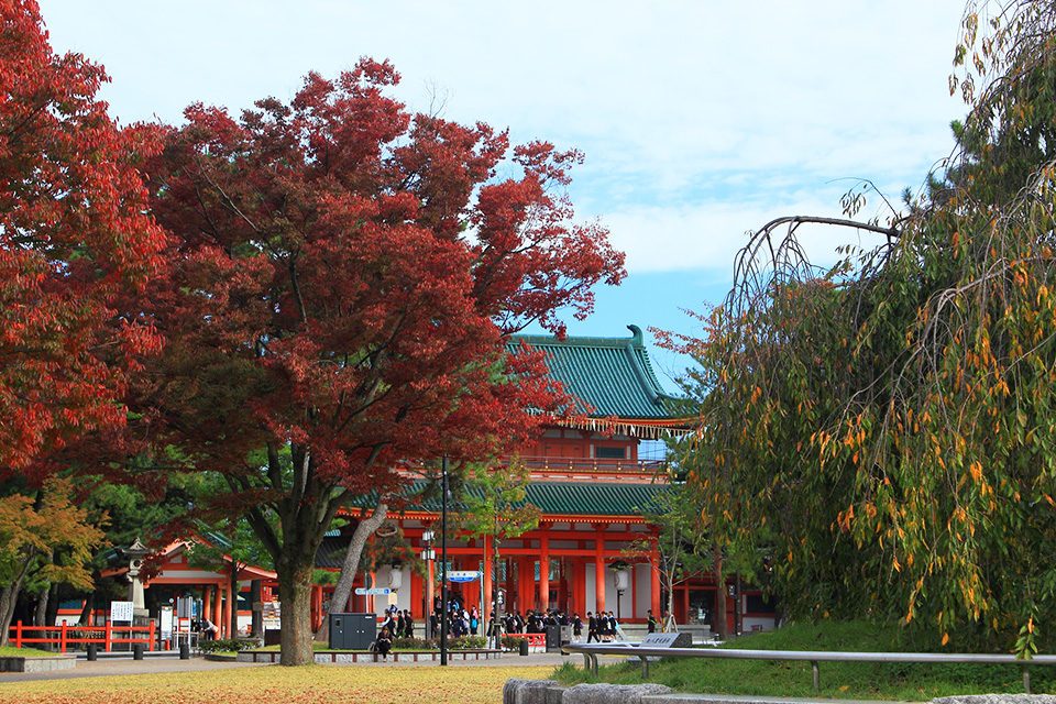 京都秋の岡崎公園