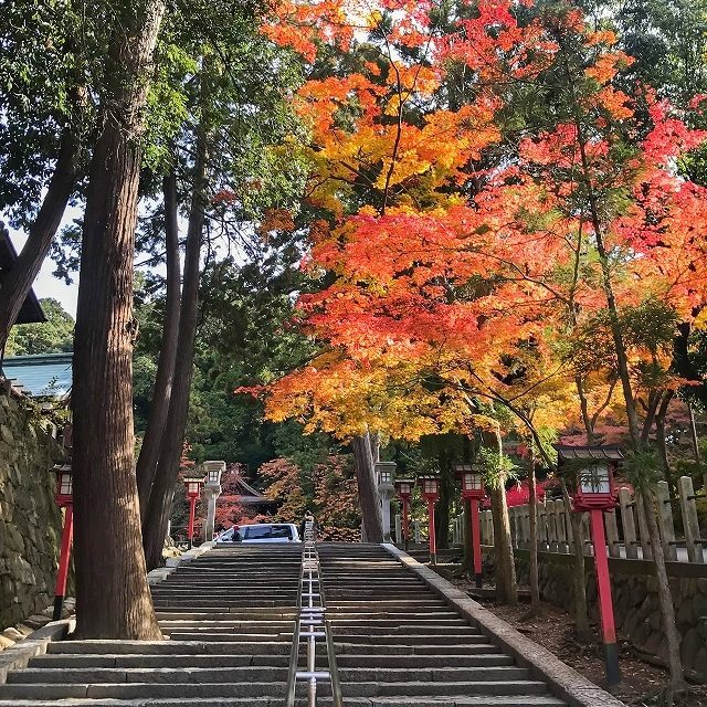 吉田神社_紅葉_180615