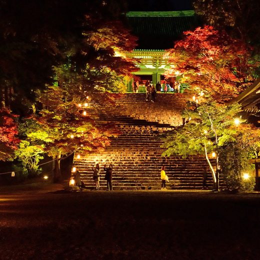 秋の神護寺ライトアップ