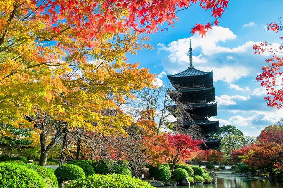 紅葉の東寺五重塔