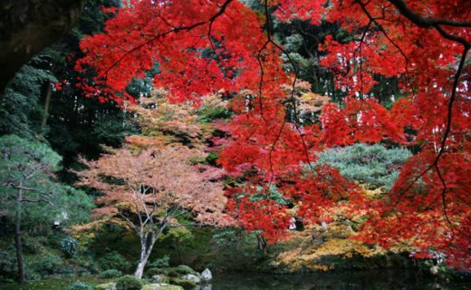 nanzenji01