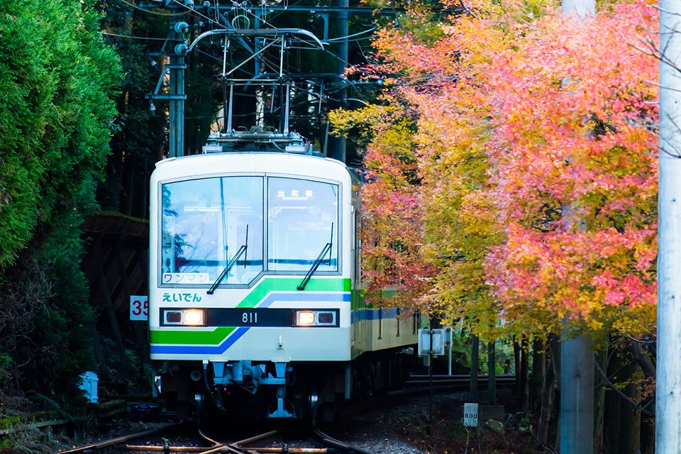 京都の叡電と紅葉