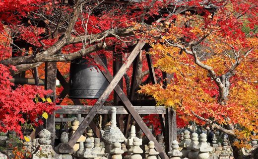 京都の紅葉晩秋