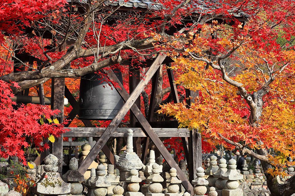 京都の紅葉晩秋