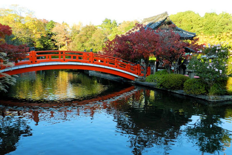 京都-神泉苑