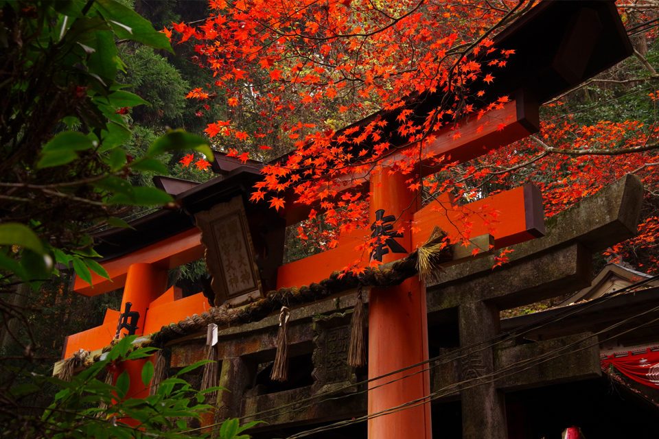 Kyoto Walk 2: Tofuku-ji Temple to Fushimi-Inari Taisha Shrine