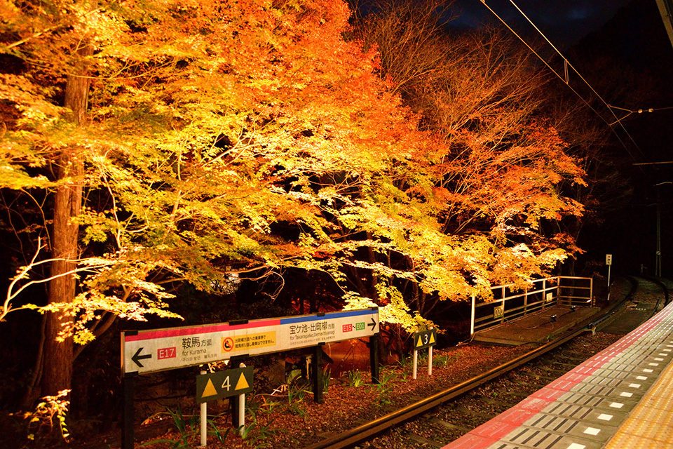 叡電貴船口駅の紅葉ライトアップ