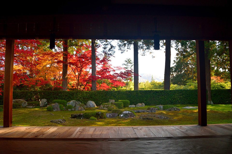 圓通寺