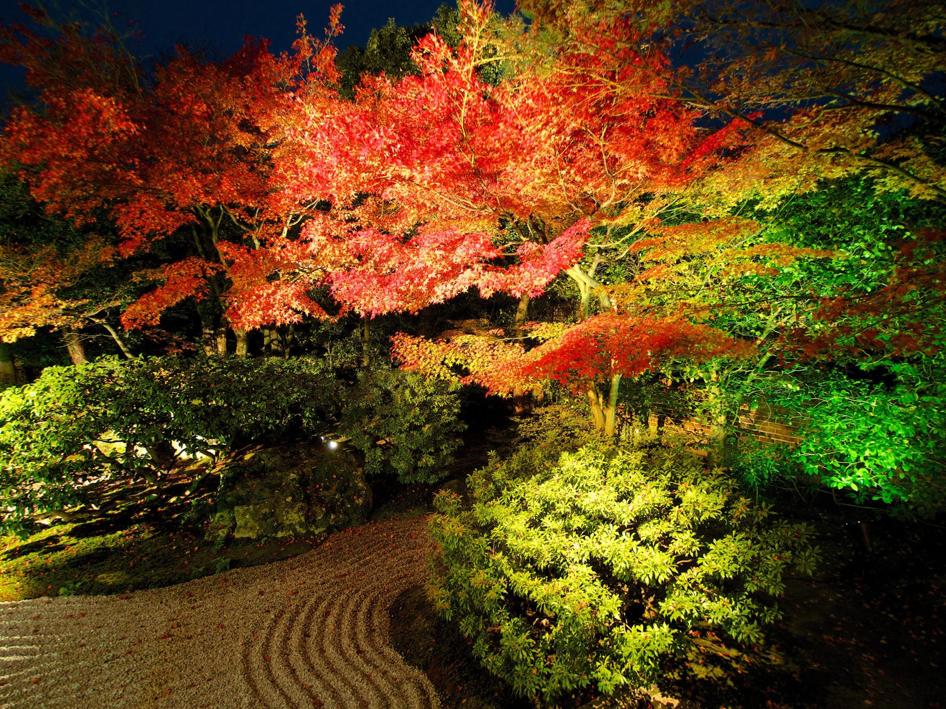 高台寺圓徳院の紅葉ライトアップ-1