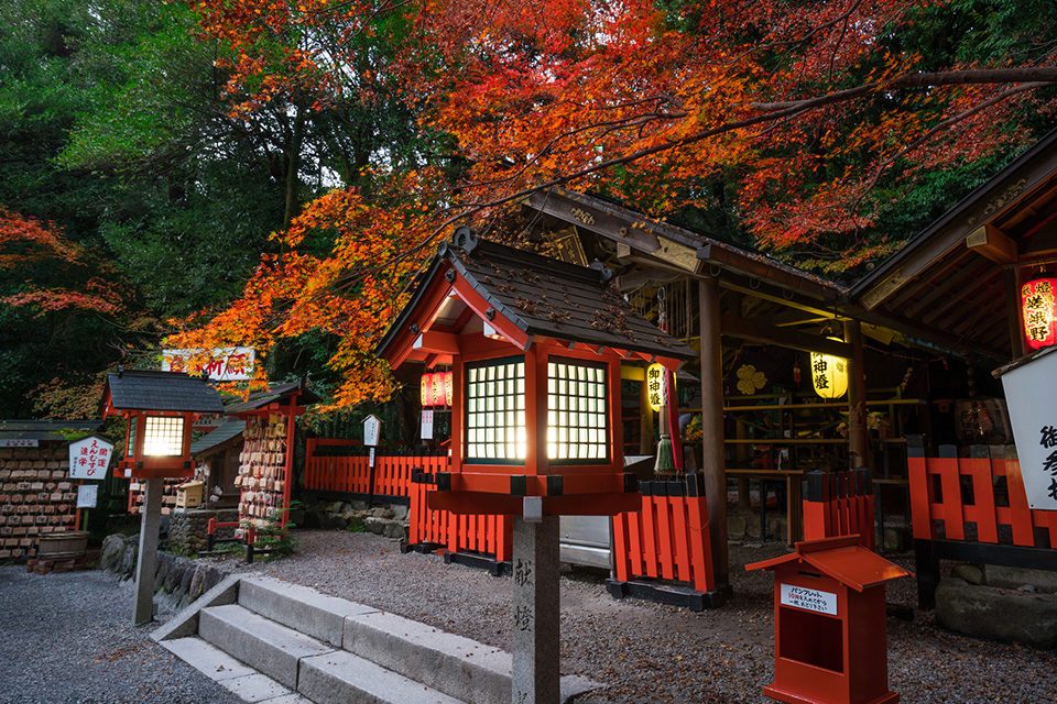 京都野宮神社の紅葉