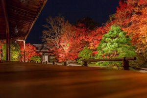 Fully enjoy the beautiful red leaves and the delicious dinner in Kyoto. Recommendations of restaurants nearby the fall foliage spots.