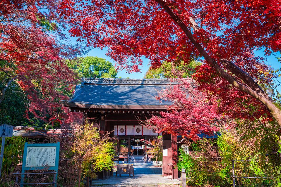 梨木神社の紅葉