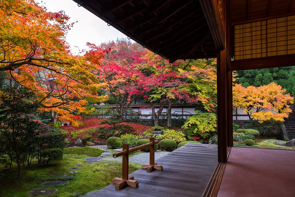 秋の泉涌寺