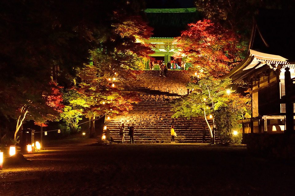 秋の神護寺ライトアップ