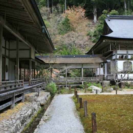 在京都鴨川周邊悠閒度假怎麼樣 Caede L Elisir 紅楓葉 愛麗絲亞京都