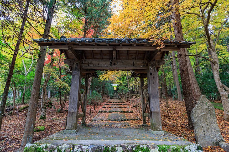 秋の常照皇寺