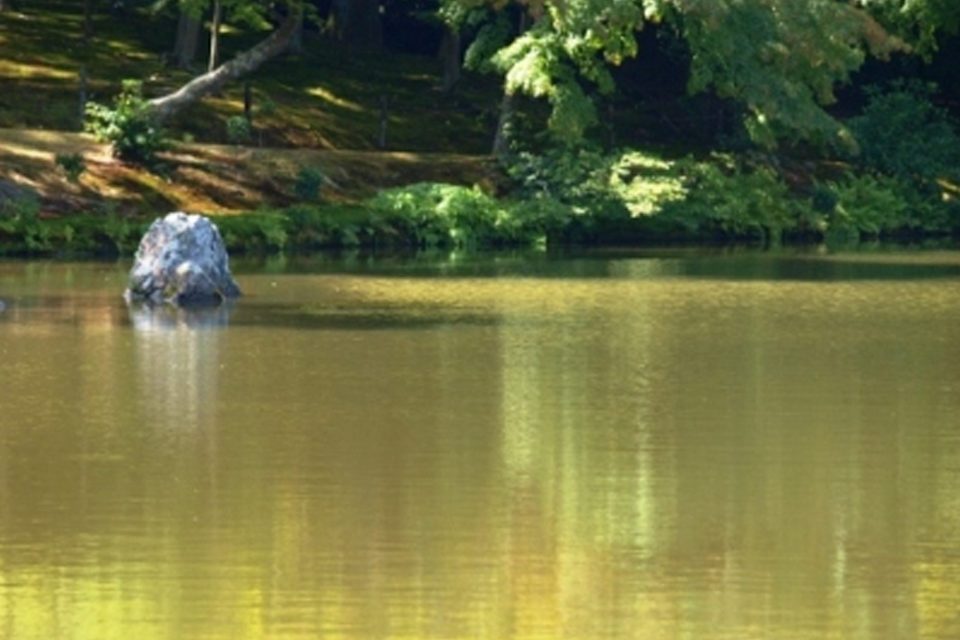 鏡湖池