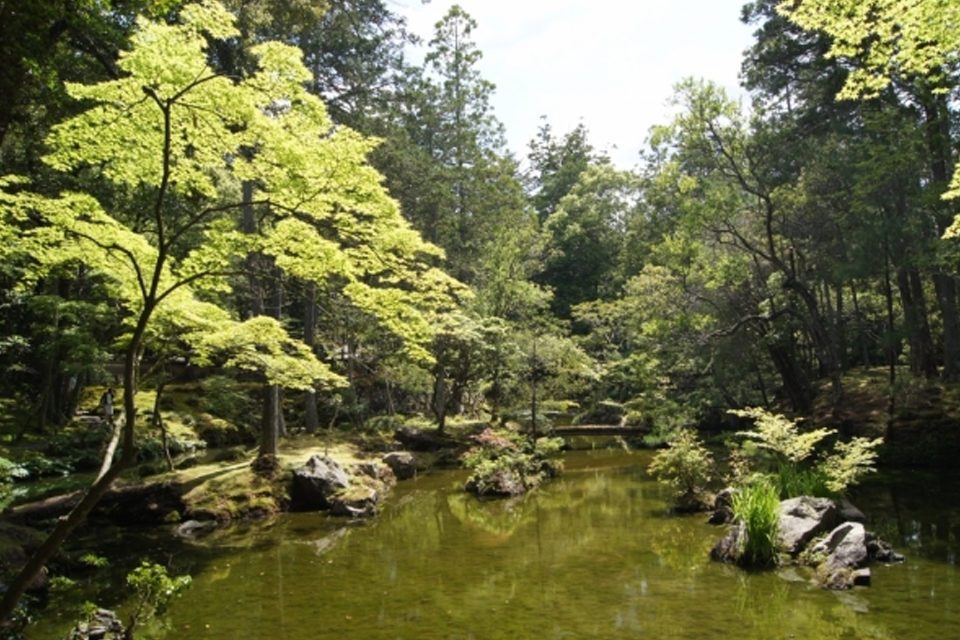 西芳寺-黄金池