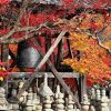 kyoto_autumn_caedekyoto
