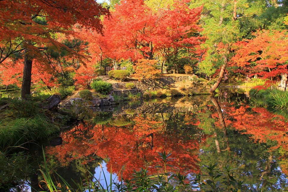 autumn_kyoto_caedekyoto