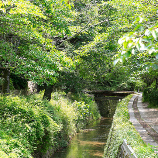 鴨川的三角洲，領略京都的四季