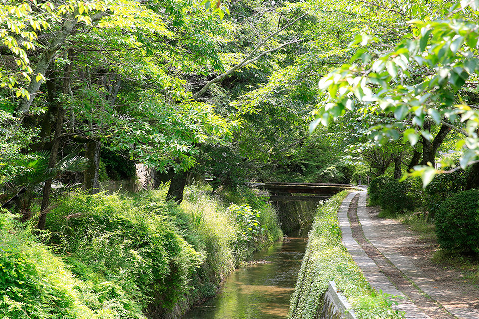 鴨川的三角洲，領略京都的四季