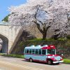 京都 櫻花 巴士旅行