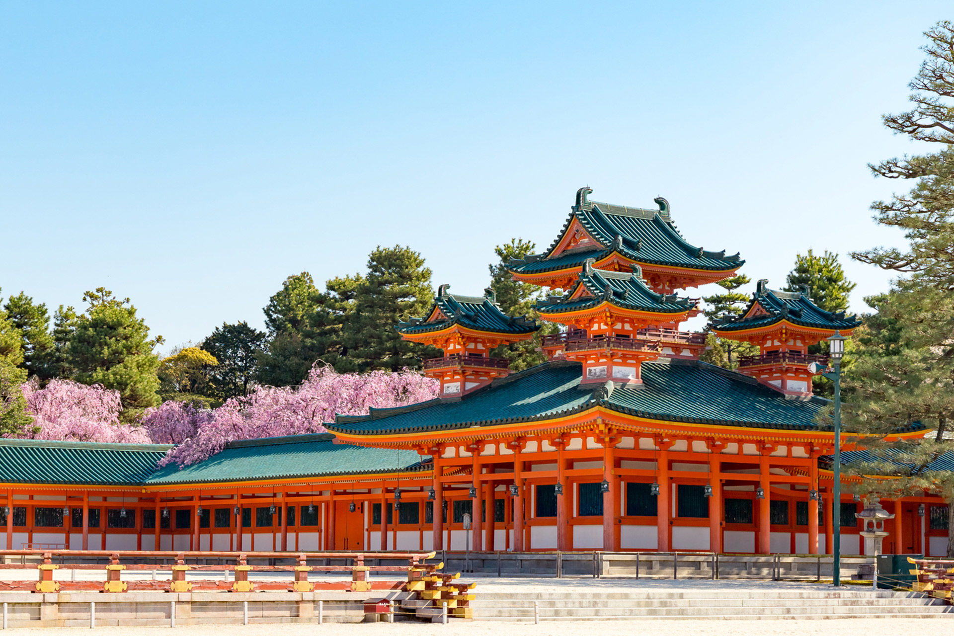 京都  櫻花  平安神宮