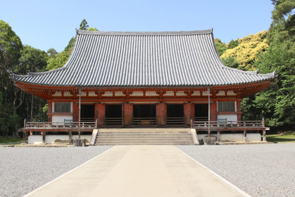 京都  櫻花  醍醐寺