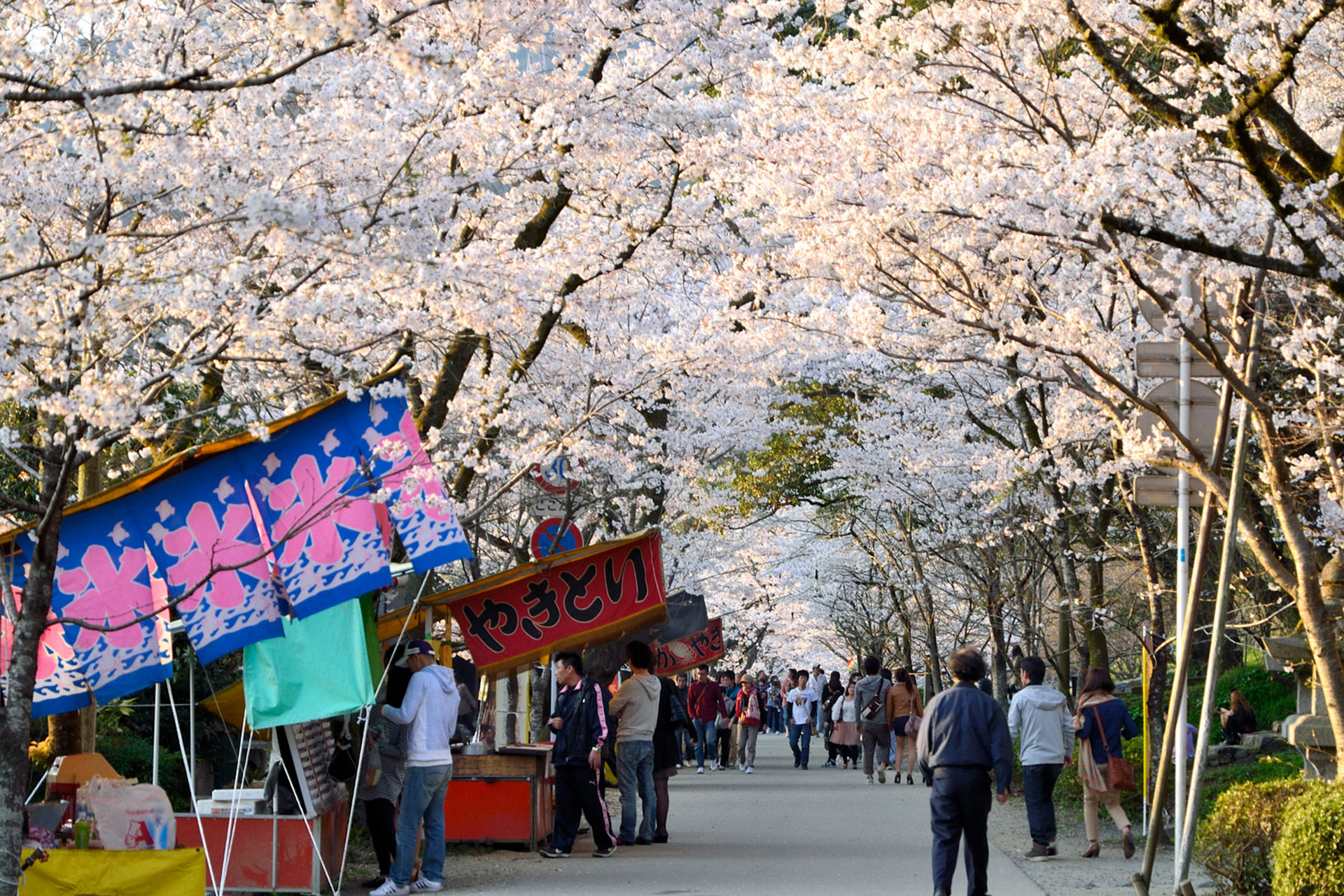 京都  櫻花  攤子
