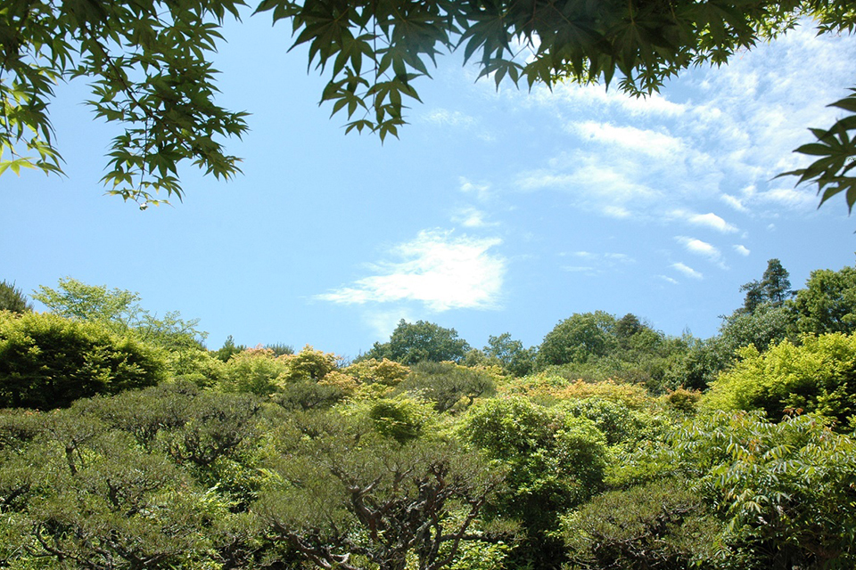 嵐山公園展望臺吧！