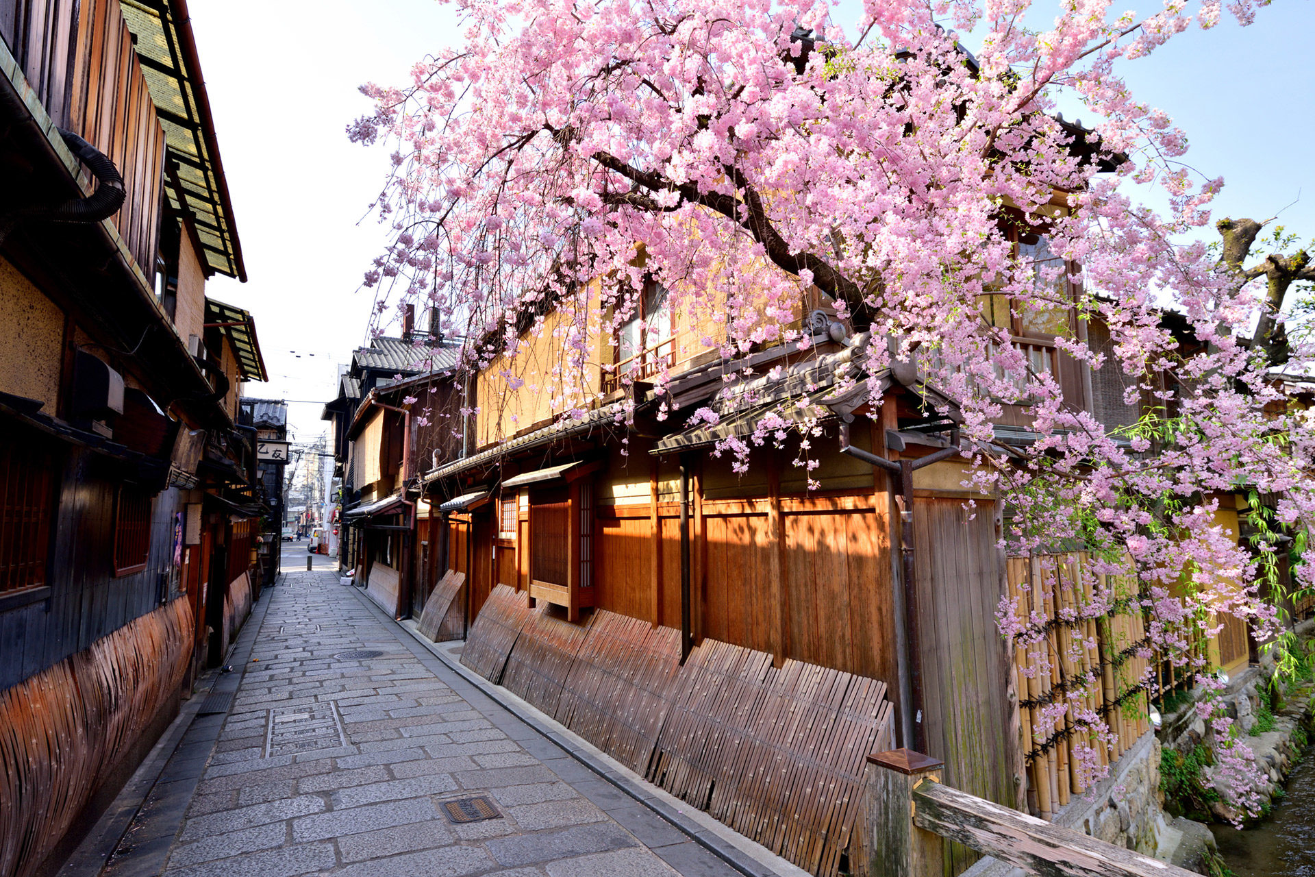 在京都度過的春假特輯！