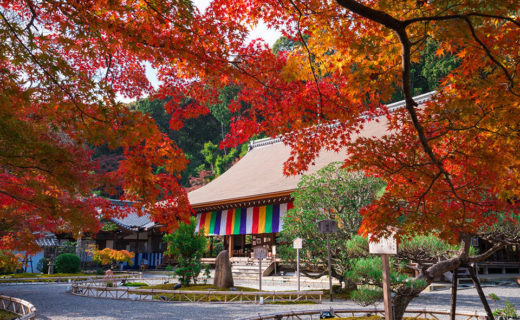 二尊院引以為豪的京都之秋之美是
