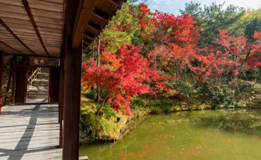 來京都享受秋天的約會吧。