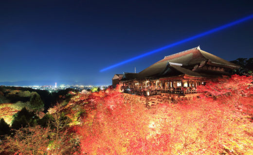 您不想在京都享受奢華的秋夜嗎？
