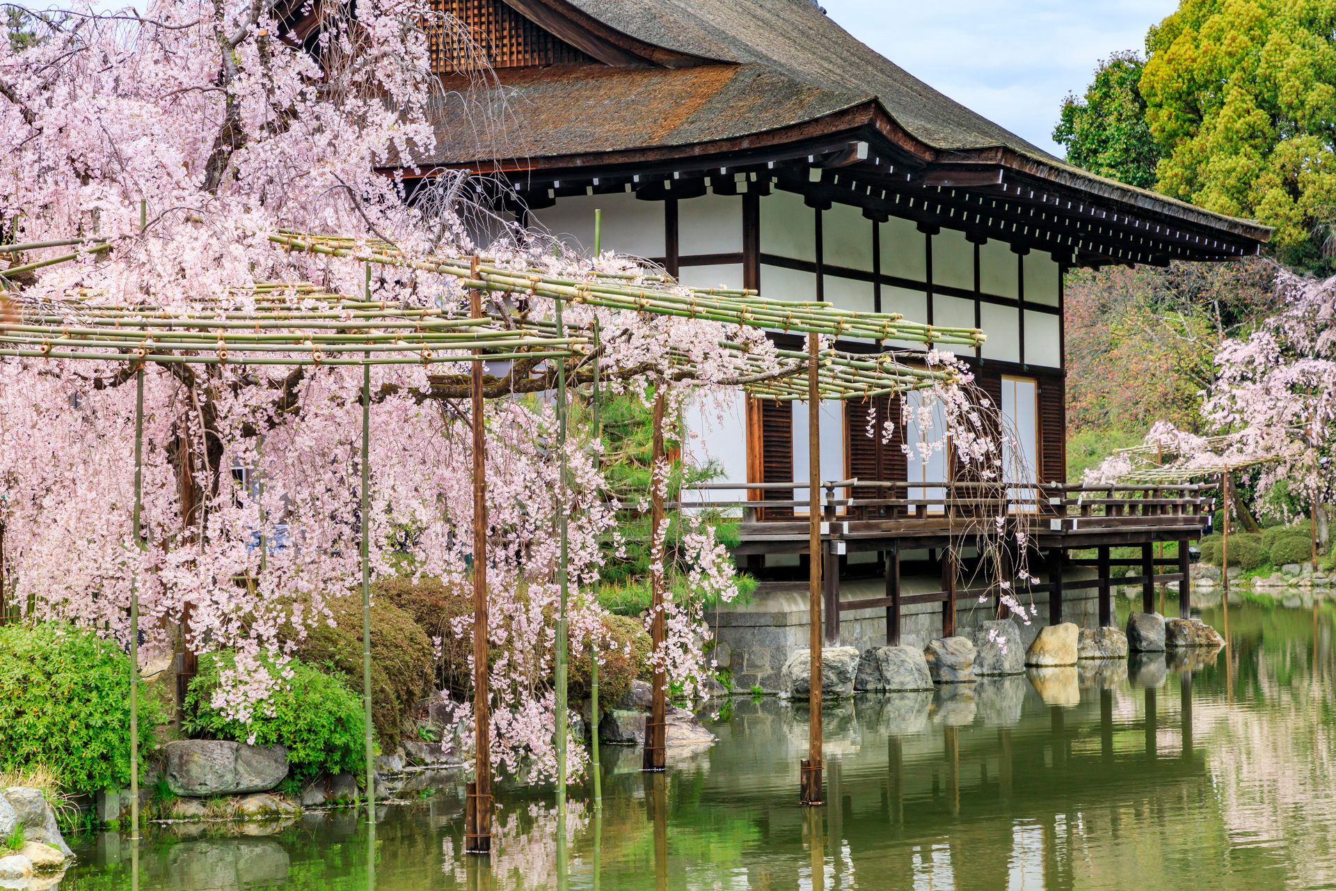 說到春天京都的約會地點就是這裡！
