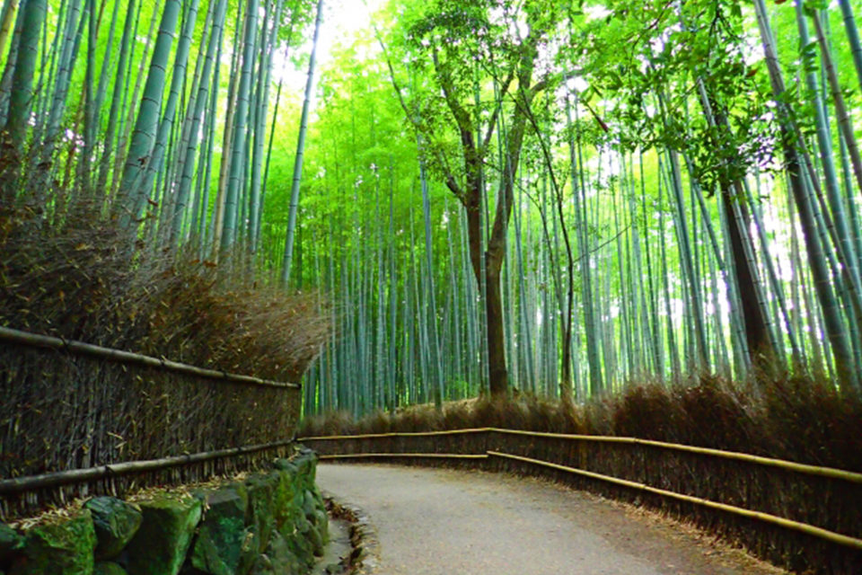 不要穿著和服在京都散步？
