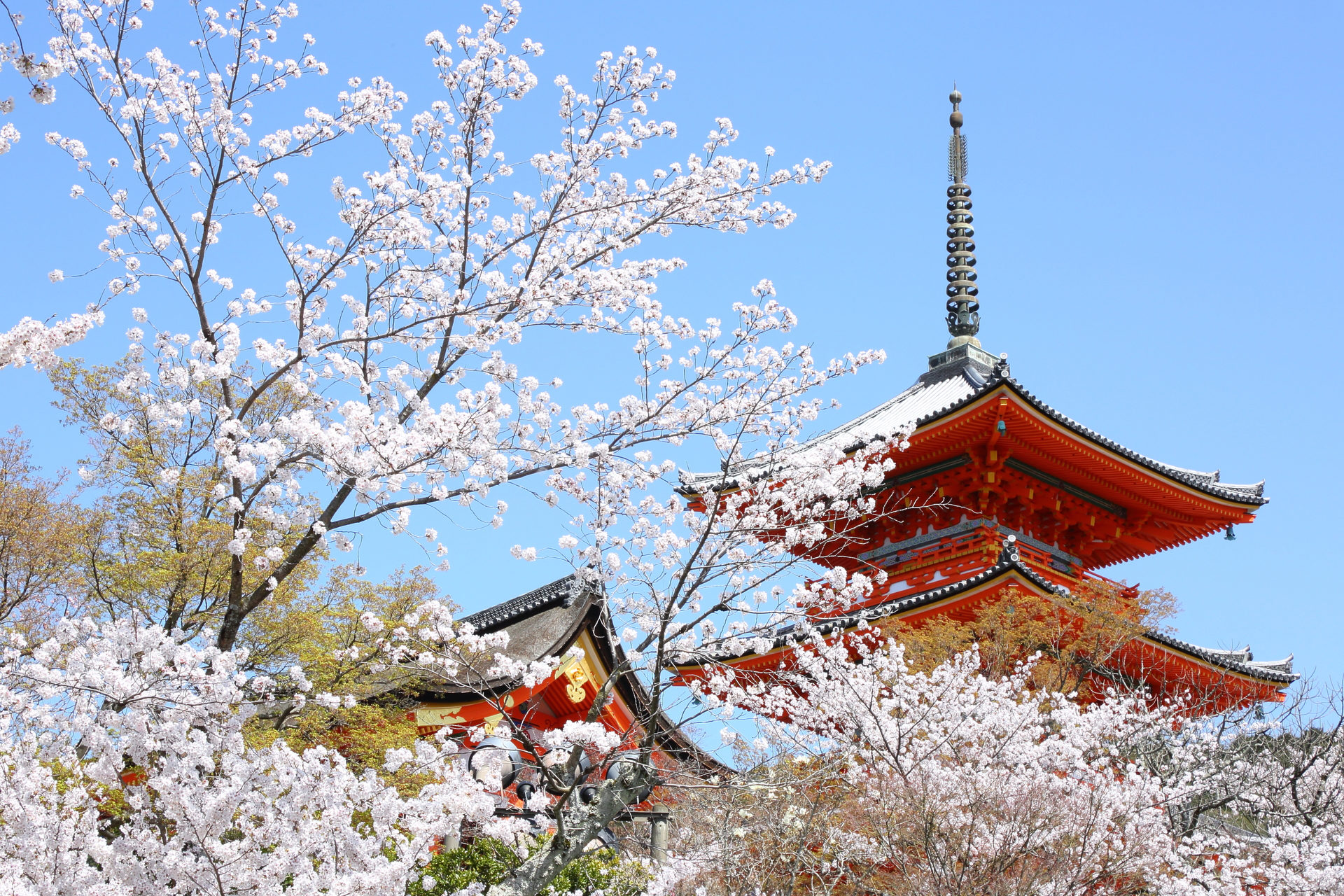 在京都度過的春假特輯！