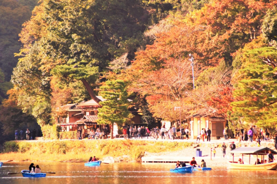 來京都享受秋天的約會吧。