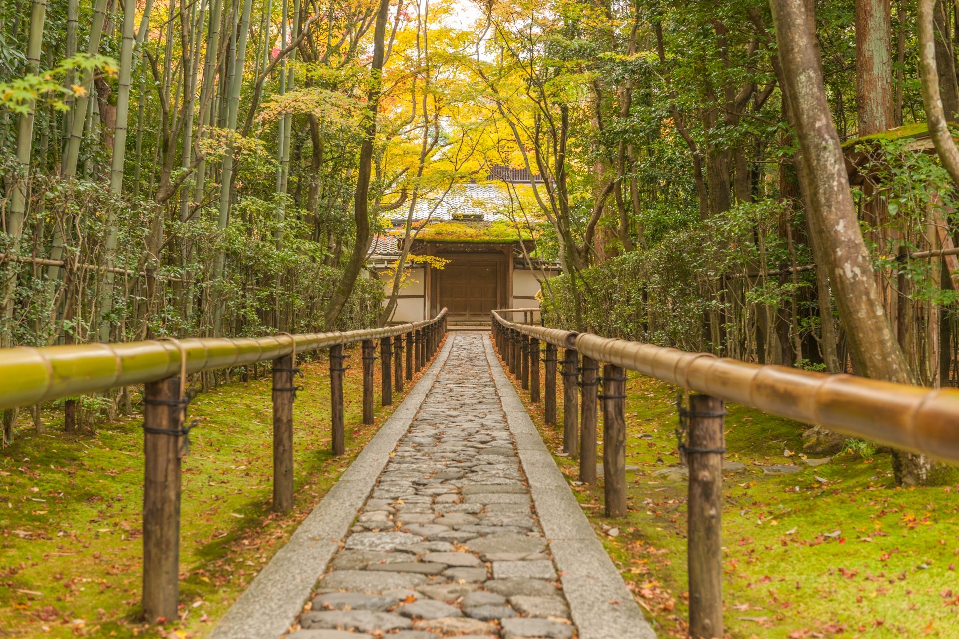 大德寺是日本的珍貴的寶庫