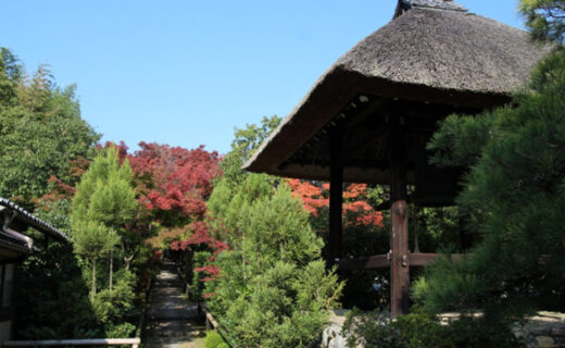去京都的話想去看看能欣賞楓葉的植治庭園11選