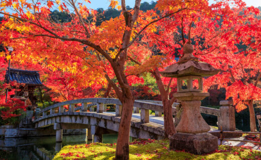 在日本人看來也是美麗的京都楓葉