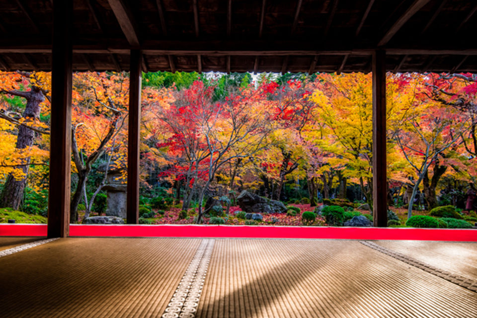 介紹了京都各個地區推薦的楓葉絕色景點和鮮為人知的景點