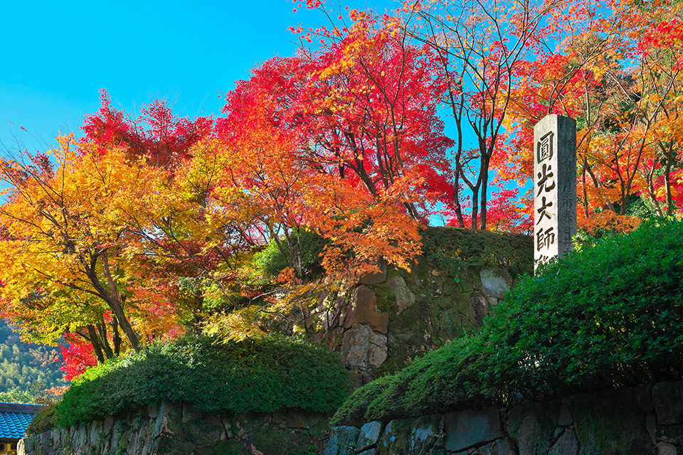 如果是京都的楓葉的話，推薦在廣告中被提及的光明寺！