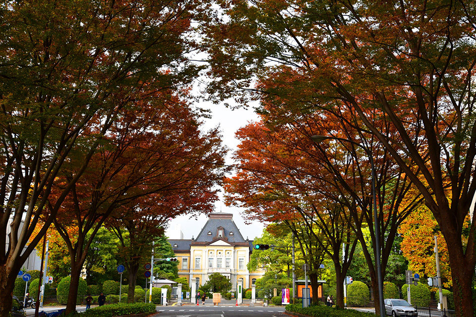 去京都的話想去看看能欣賞楓葉的植治庭園11選