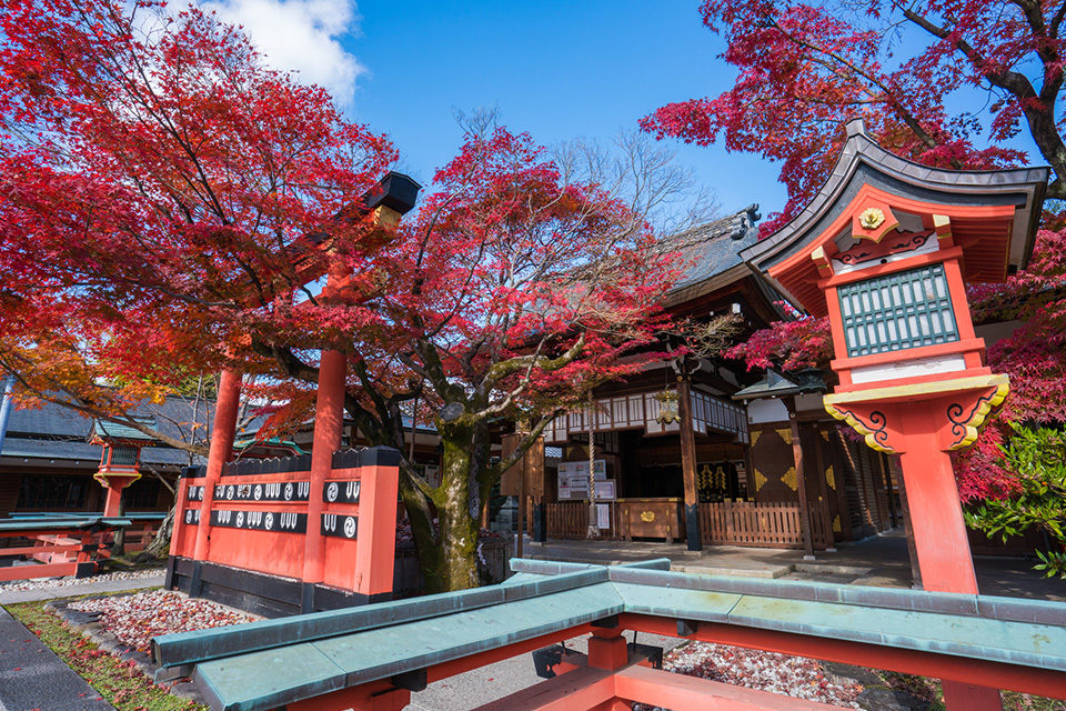 京都有12個可以免費觀賞楓葉的隱秘名勝