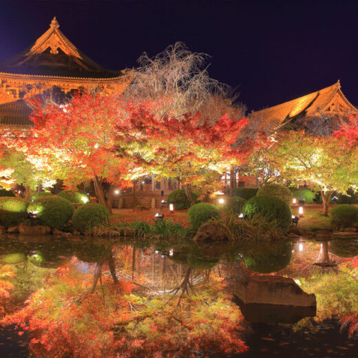 如果要欣賞京都楓葉的話就去東寺。